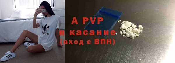 стафф Абаза