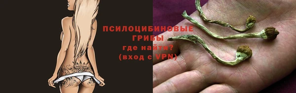 бошки Алексин