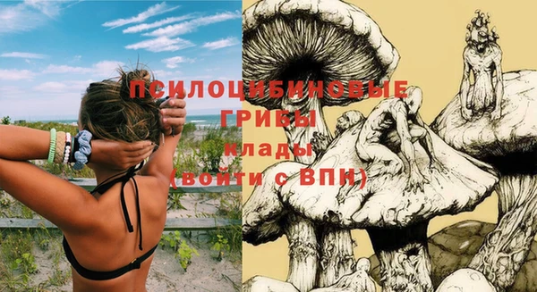 трава Алзамай