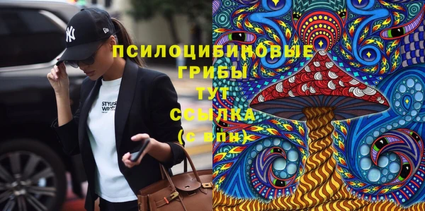 бошки Алексин